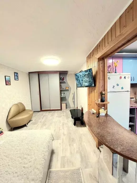 Студия Камчатский край, Петропавловск-Камчатский просп. 50 лет ... - Фото 2