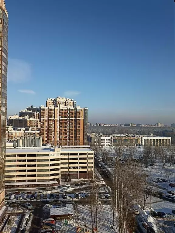 2-к кв. Санкт-Петербург ул. Есенина, 1к1 (64.0 м) - Фото 1