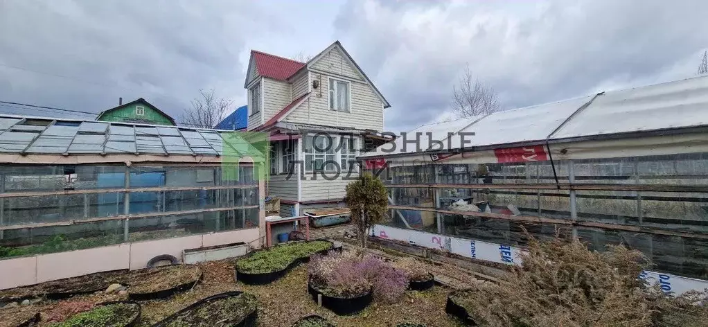 Дом в Иркутская область, Ангарск Аэлита СНТ,  (46 м) - Фото 0
