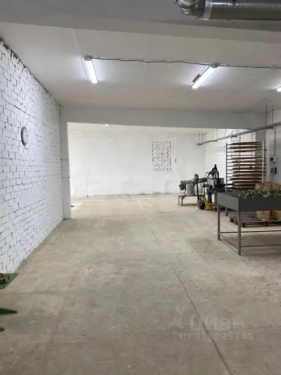 Помещение свободного назначения в Ярославская область, Борисоглебский ... - Фото 1