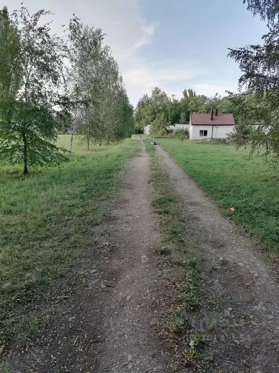 Помещение свободного назначения в Ростовская область, Азовский район, ... - Фото 0