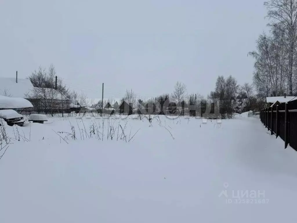 Участок в Новосибирская область, Новосибирский район, Толмачевский ... - Фото 2