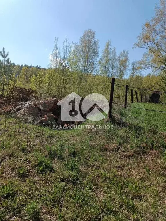 Участок 5,3 сот. (СНТ, ДНП) - Фото 1