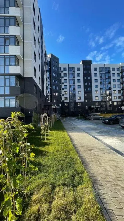 Студия Краснодарский край, Темрюк Дальняя ул., 30 (30.56 м) - Фото 0