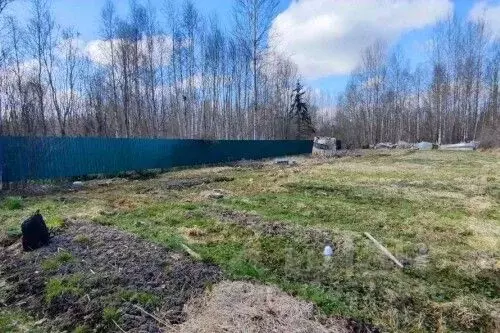 Дом в Новгородская область, Новгородский муниципальный район, ... - Фото 2
