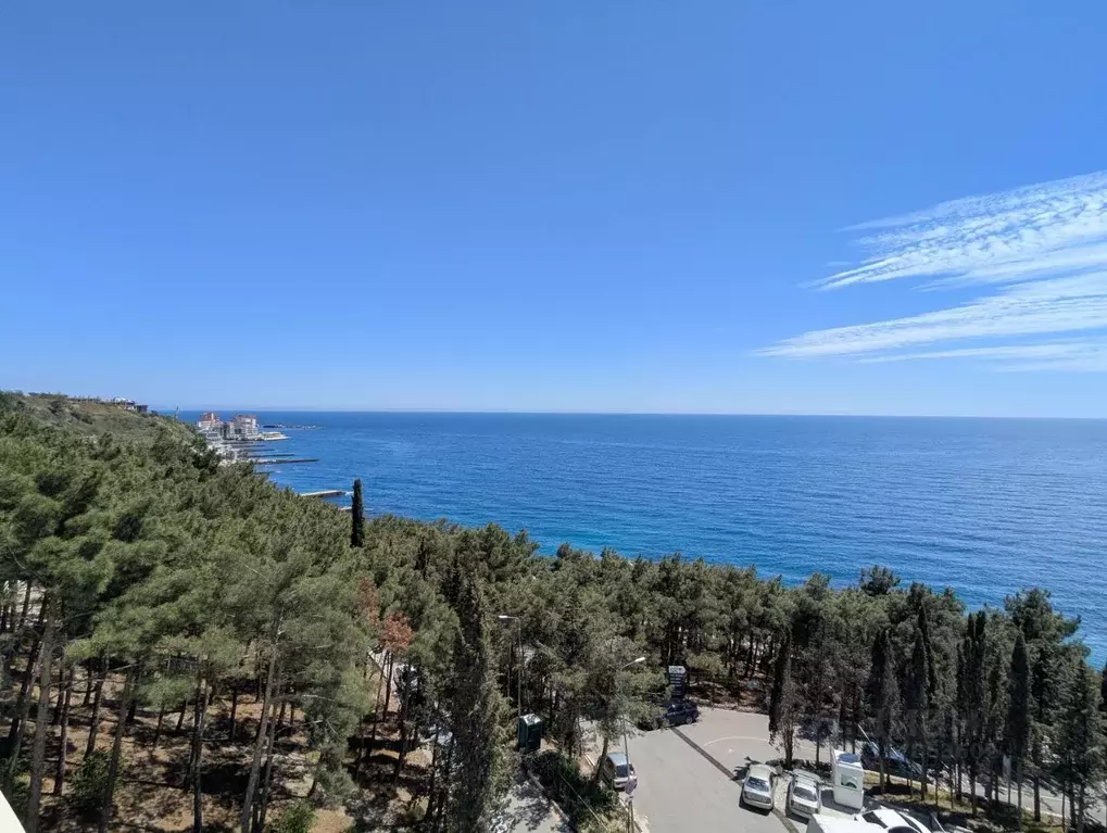 Свободной планировки кв. Крым, Ялта ул. Дражинского, 45А (45.4 м) - Фото 0