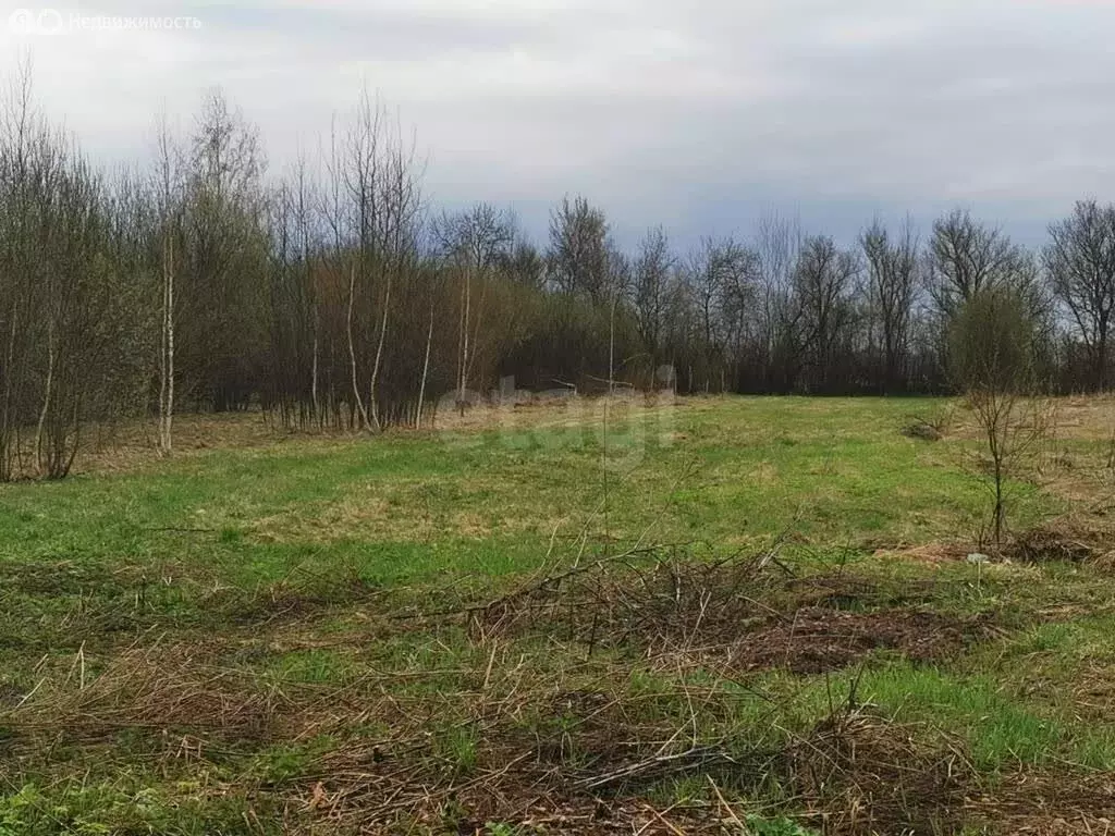 Участок в Московская область, городской округ Коломна, село Маливо ... - Фото 1