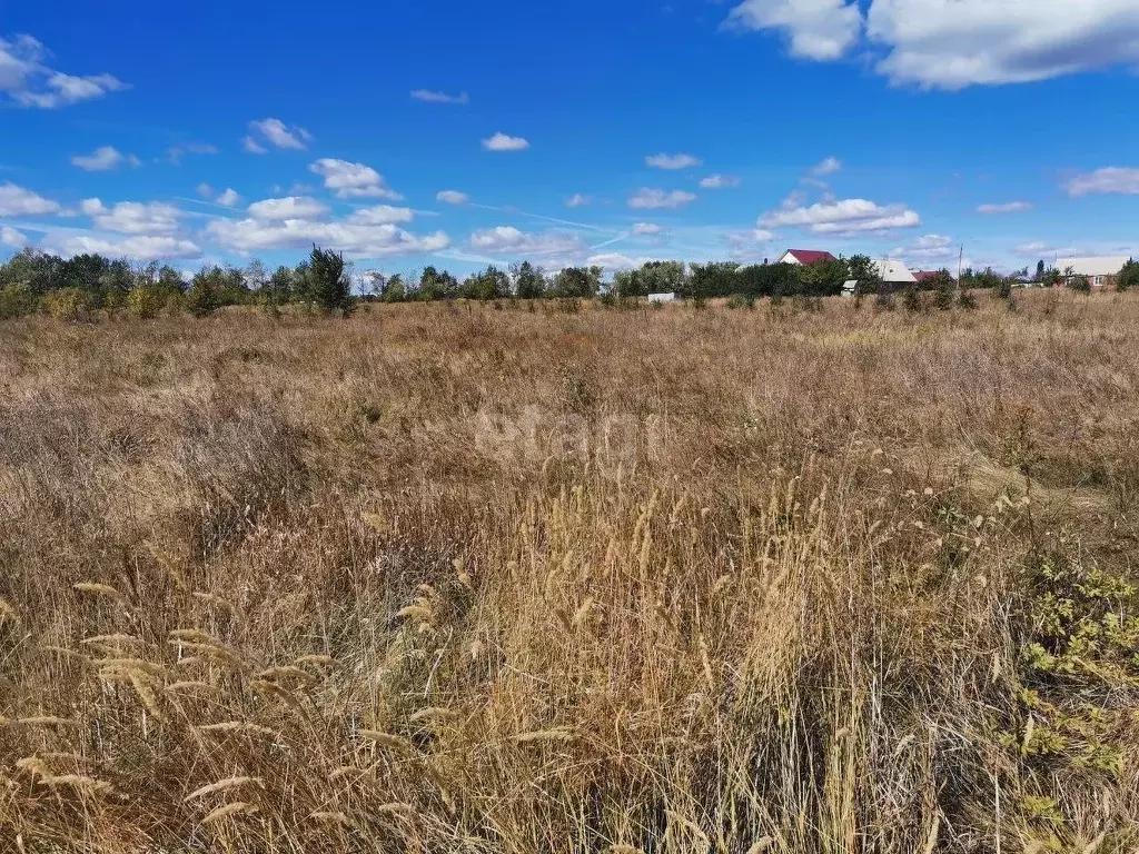 Участок В Медовке Воронеж Купить