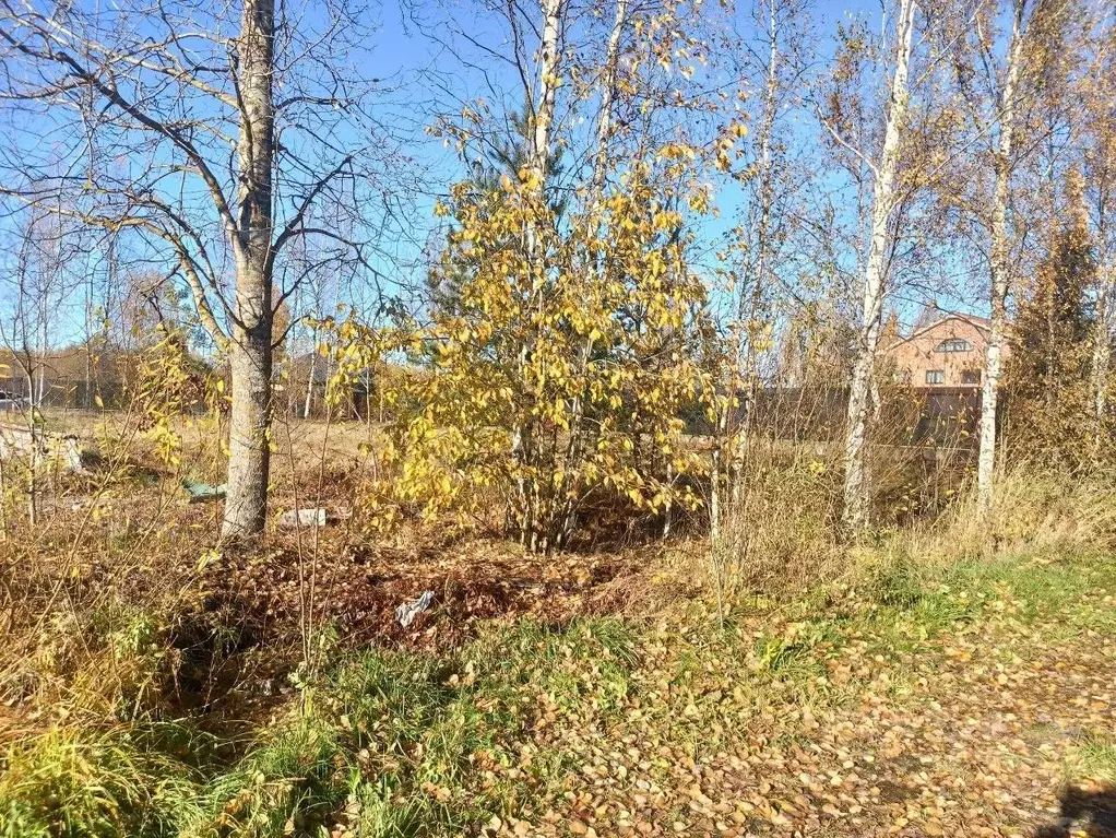 Участок в Ленинградская область, Всеволожский район, Колтушское ... - Фото 0