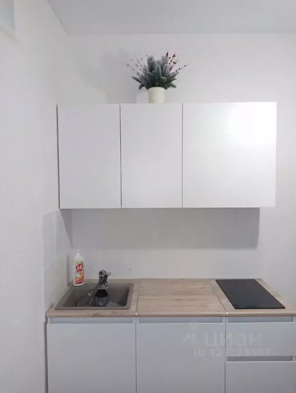 Студия Архангельская область, Архангельск ул. В.И. Воронина, 28к6 ... - Фото 1