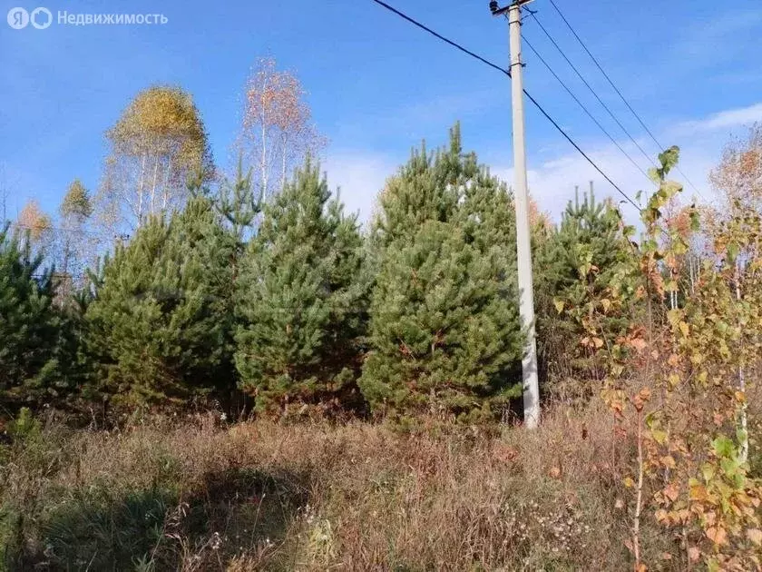 Участок в Нижнетавдинский район, садовые участки Боярский двор (10 м) - Фото 0