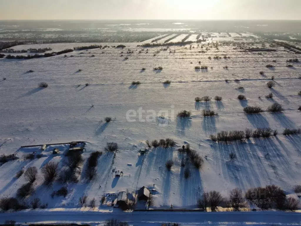 Участок в Архангельская область, Архангельск пос. Турдеевск,  (59.1 ... - Фото 0