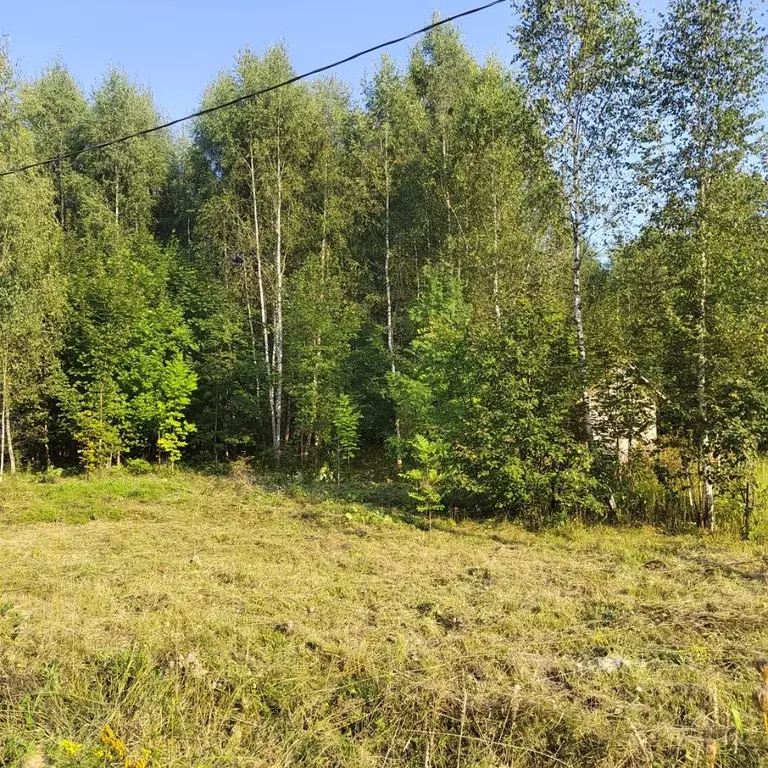 Участок в Калужская область, Тарусский муниципальный округ, д. ... - Фото 2