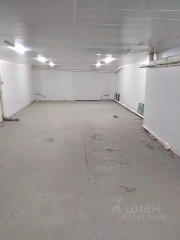 Помещение свободного назначения в Саратовская область, Саратов пл. ... - Фото 1