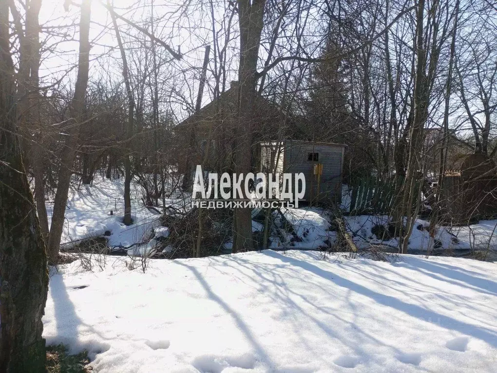 Участок в Санкт-Петербург пос. Александровская, ш. Волхонское, 55 ... - Фото 2