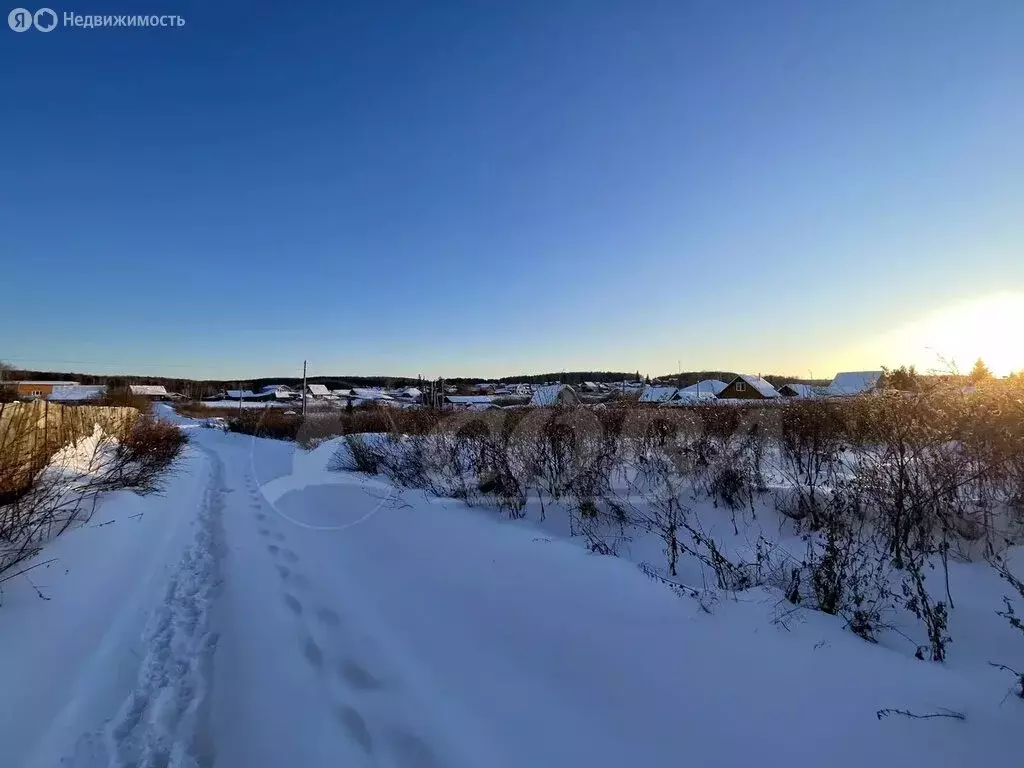 Участок в Тюменский муниципальный округ, село Кулига (38 м) - Фото 1
