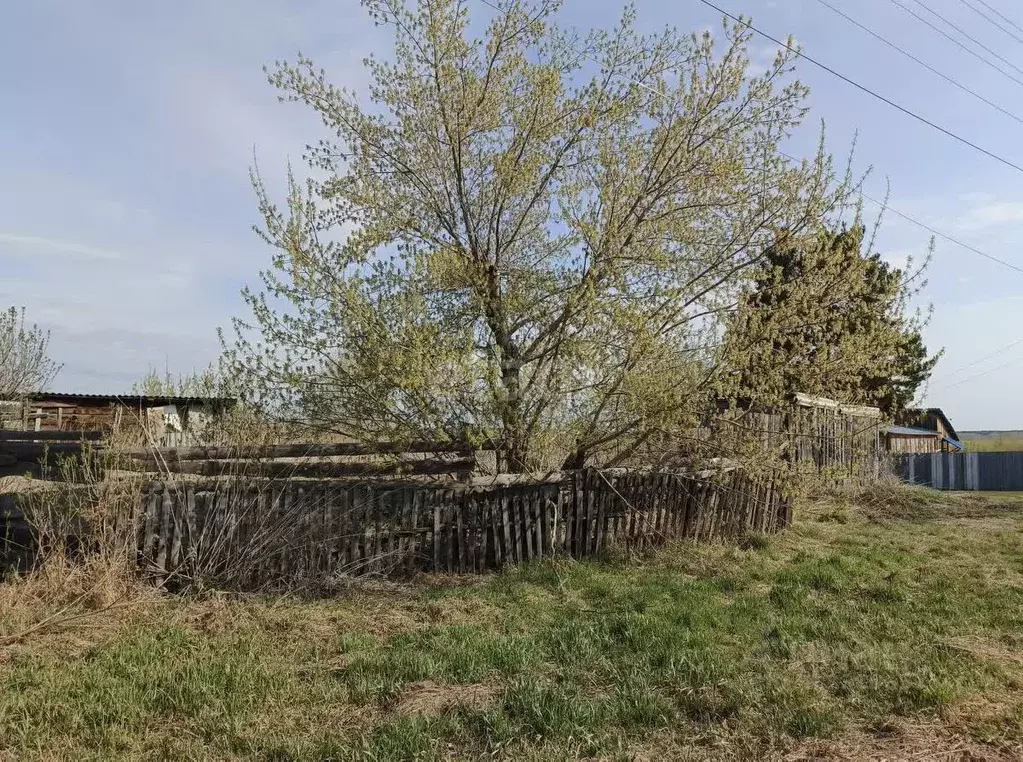 Участок в Курганская область, Шадринский муниципальный округ, д. ... - Фото 1