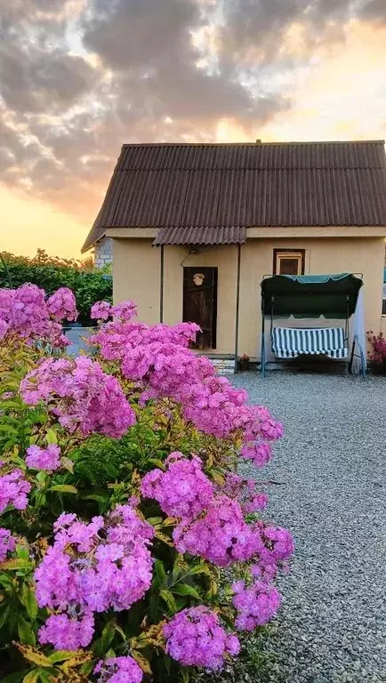 Дом в Свердловская область, Екатеринбург Ромашка СНТ, 32 (50 м) - Фото 1