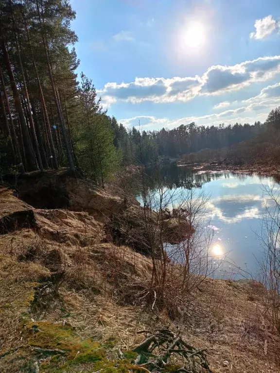 Участок в Тверская область, Рамешковский муниципальный округ, д. ... - Фото 2