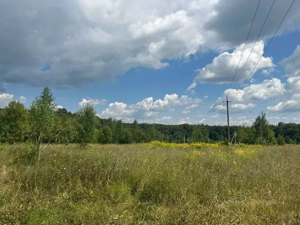 Участок в Тульская область, Тула городской округ, д. Юрьево  (11.26 ... - Фото 1