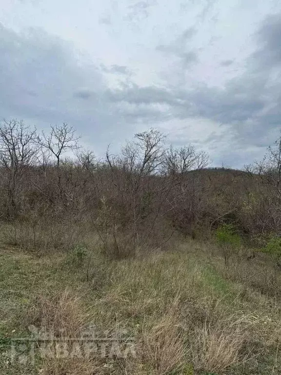 Участок в Краснодарский край, Сочи городской округ, с. Васильевка  ... - Фото 0
