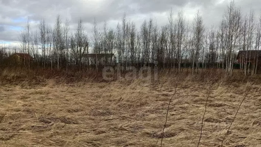 Участок в Ярославская область, Ярославский муниципальный округ, д. ... - Фото 1