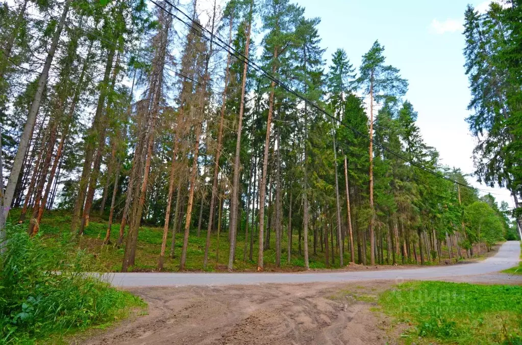 Участок в Ленинградская область, Выборгский район, Рощино городской ... - Фото 1