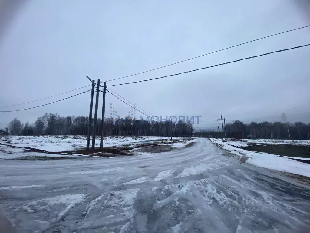 Участок в Нижегородская область, Нижний Новгород д. Карабатово, ул. ... - Фото 2