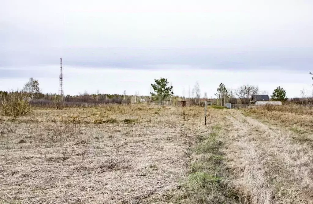 Участок в Тюменская область, Ялуторовский муниципальный округ, СО ... - Фото 2