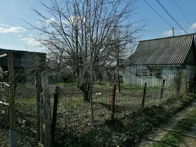 Купить Дачу В Районе Березовой