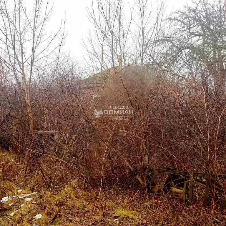 Участок в Красюковское сельское поселение, хутор Миллеров, улица ... - Фото 2