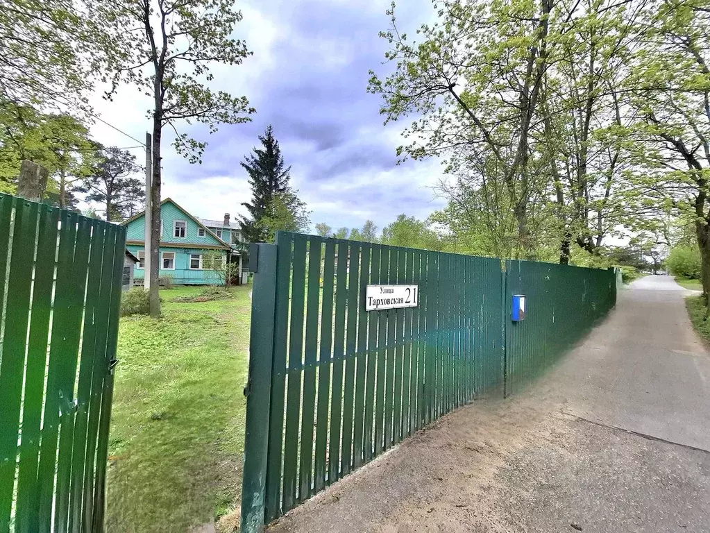 Участок в Санкт-Петербург, Санкт-Петербург, Сестрорецк ул. Тарховская, ... - Фото 1