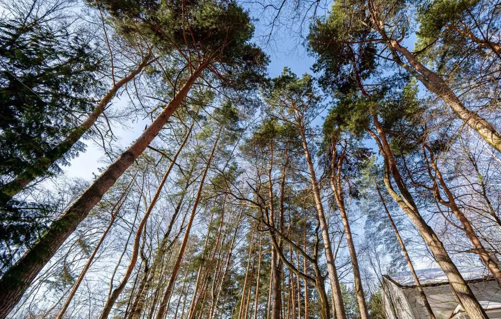 Участок в Московская область, Одинцовский городской округ, д. Жуковка  ... - Фото 1