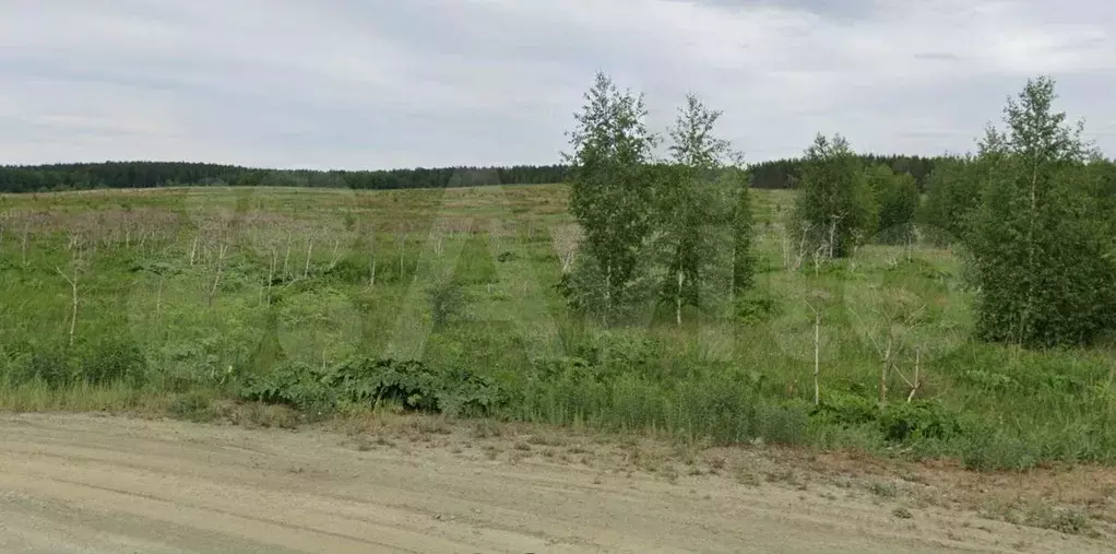 Участок 10 сот. (ИЖС) - Фото 1