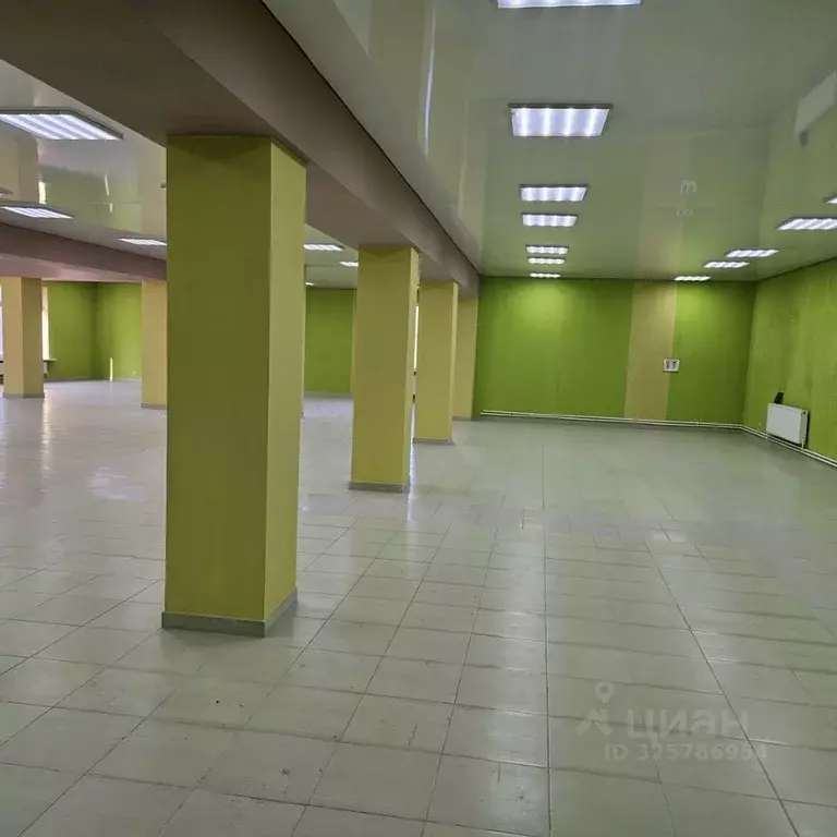 Торговая площадь в Брянская область, Брянск ул. Снежетьский вал, 306А ... - Фото 2