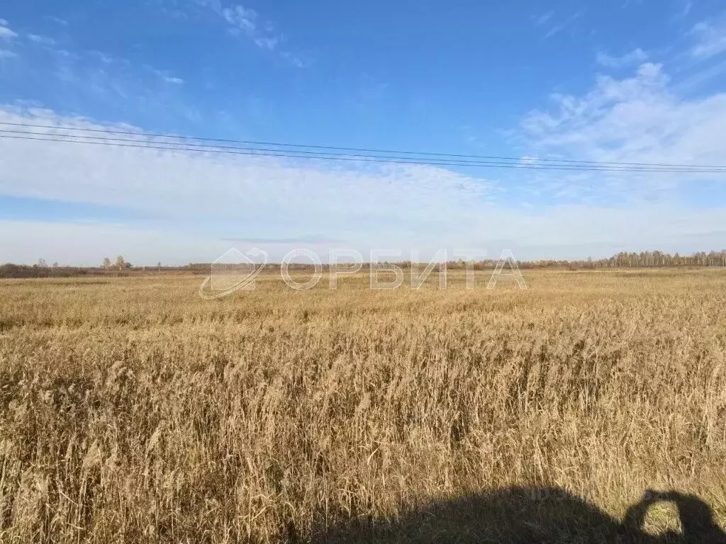 Участок в Тюменская область, Тюменский муниципальный округ, ... - Фото 2