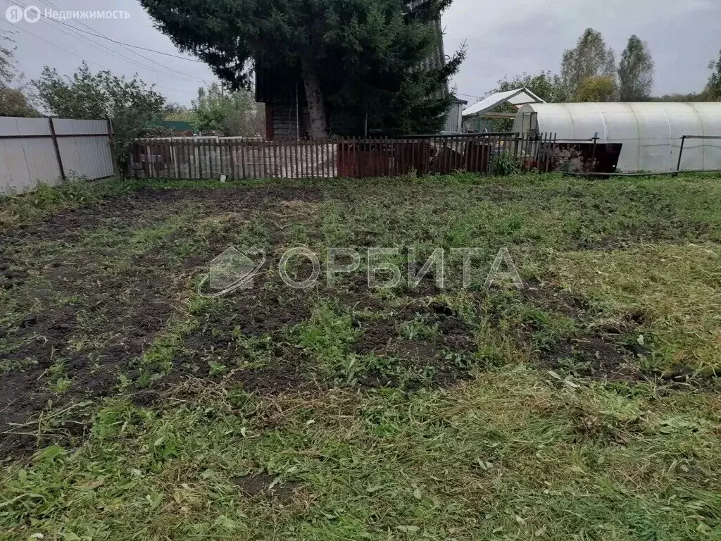 Участок в Тюменская область, Ялуторовский муниципальный округ, садовое ... - Фото 2