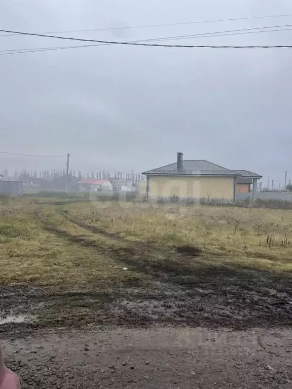 Участок в Воронежская область, Новоусманский район, Никольское с/пос, ... - Фото 2