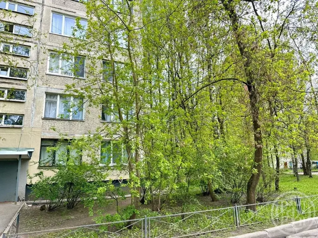 3-к кв. Санкт-Петербург Будапештская ул., 38К7 (52.0 м) - Фото 1