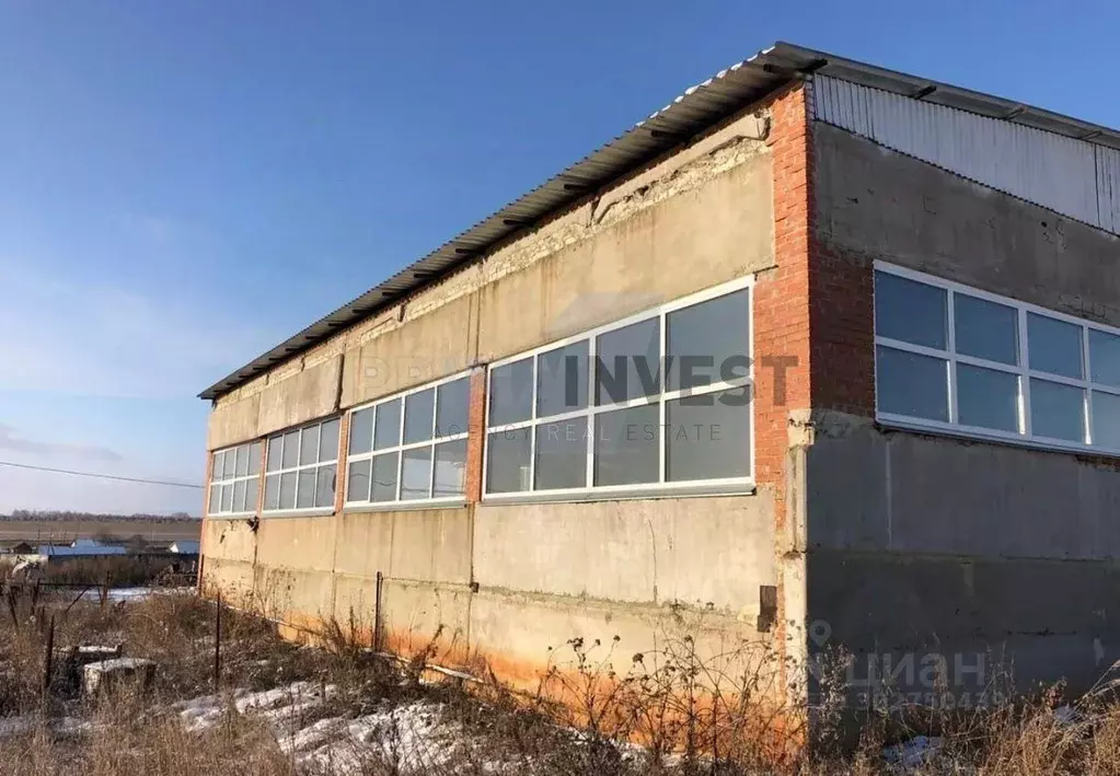 Производственное помещение в Челябинская область, Аргаяшский район, ... - Фото 0