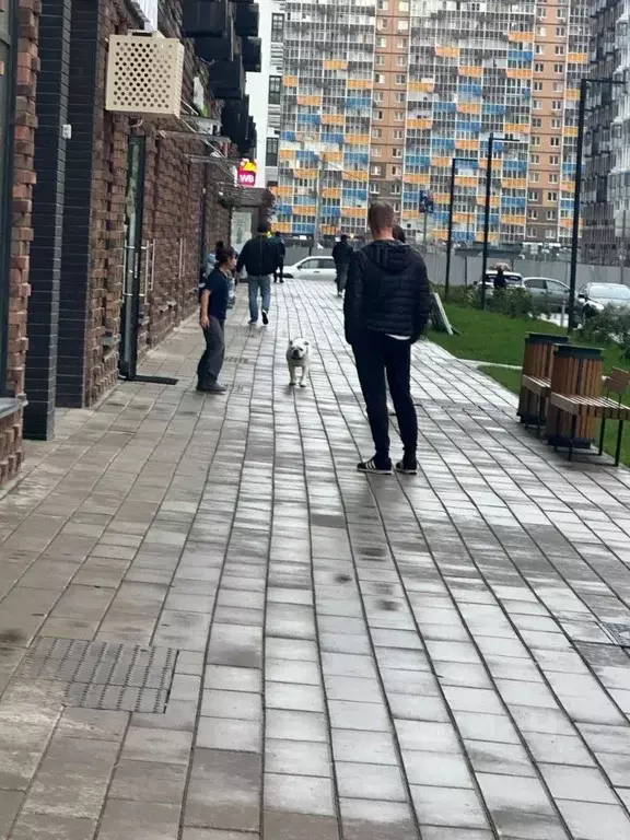 Помещение свободного назначения в Московская область, Ленинский ... - Фото 2