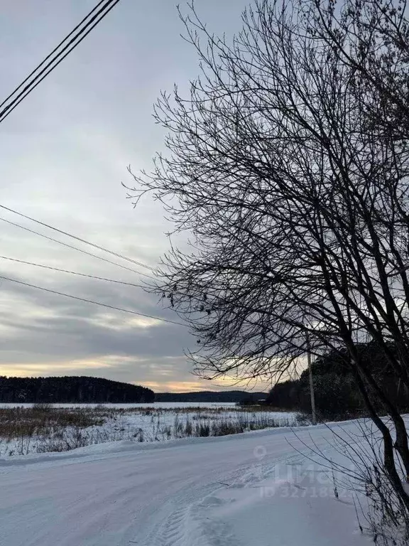 Участок в Свердловская область, Сысертский муниципальный округ, с. ... - Фото 2