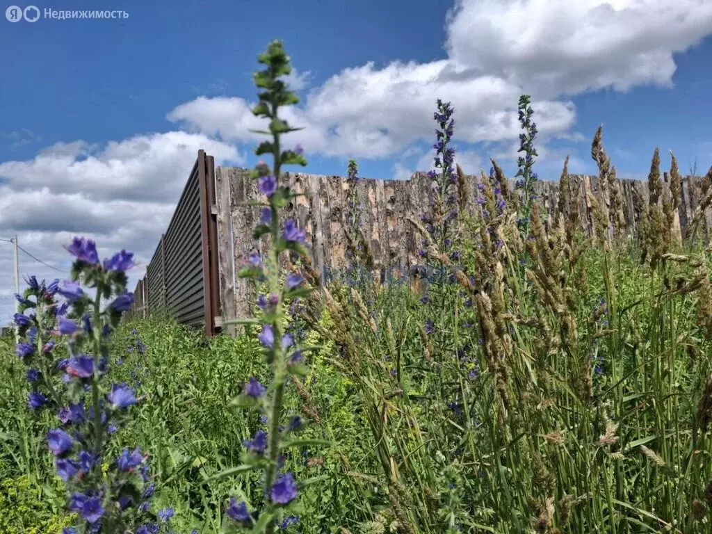 Участок в Нижегородская область, городской округ Арзамас, село ... - Фото 1