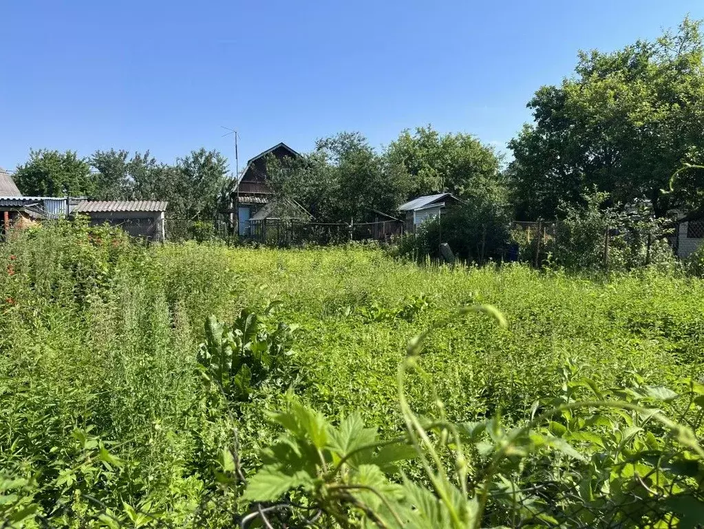 Участок в Московская область, Чехов городской округ, Химик СНТ  (4.0 ... - Фото 1