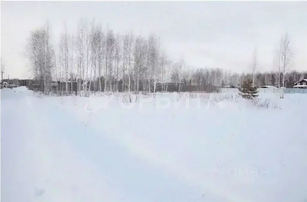 Участок в Тюменская область, Нижнетавдинский район, с. Антипино  ... - Фото 1