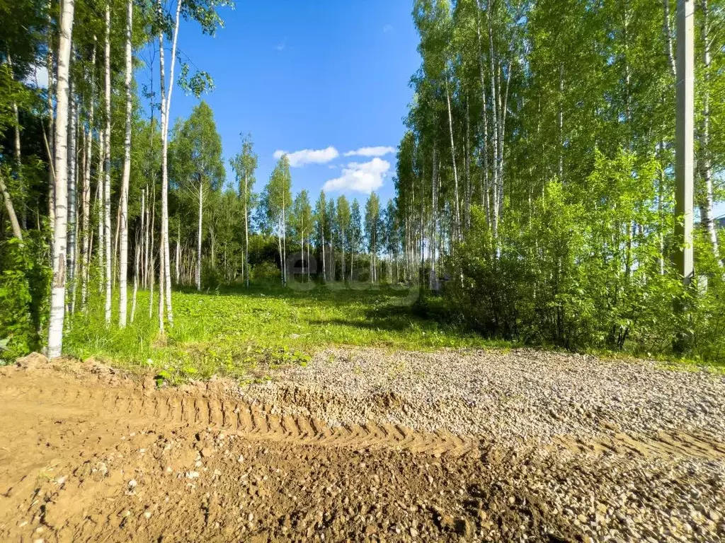 Участок в Вологодская область, д. Колбино (Кубенский сельсовет), ... - Фото 1