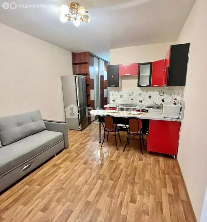 Квартира-студия: село Засечное, Радужная улица, 8 (28 м) - Фото 2