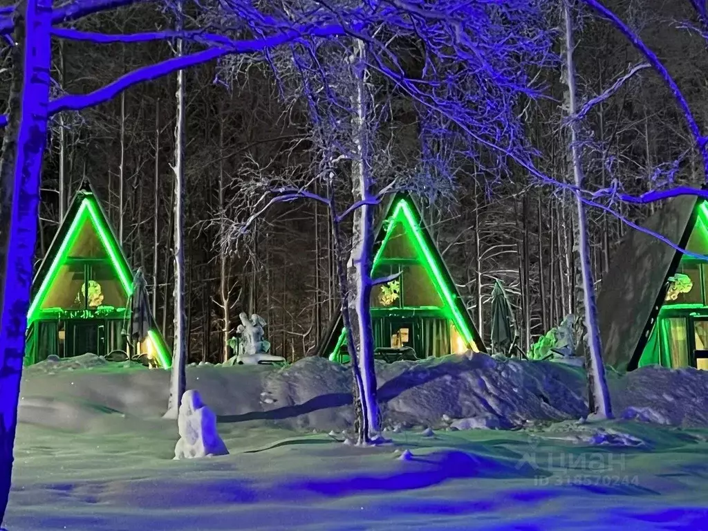 Дом в Ленинградская область, Выборгский район, Рощинское городское ... - Фото 2