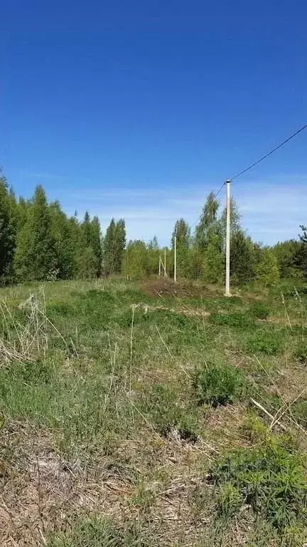 Участок в Псковская область, Гдовский район, Юшкинская волость, д. ... - Фото 0