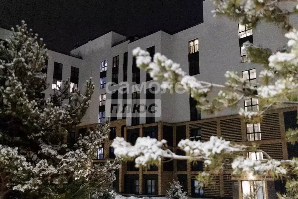 1-к кв. Челябинская область, Челябинский городской округ, пос. ... - Фото 1